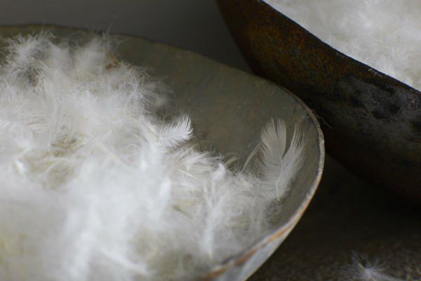 Duck Feather And Down168 Copy